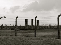 Auschwitz 70
